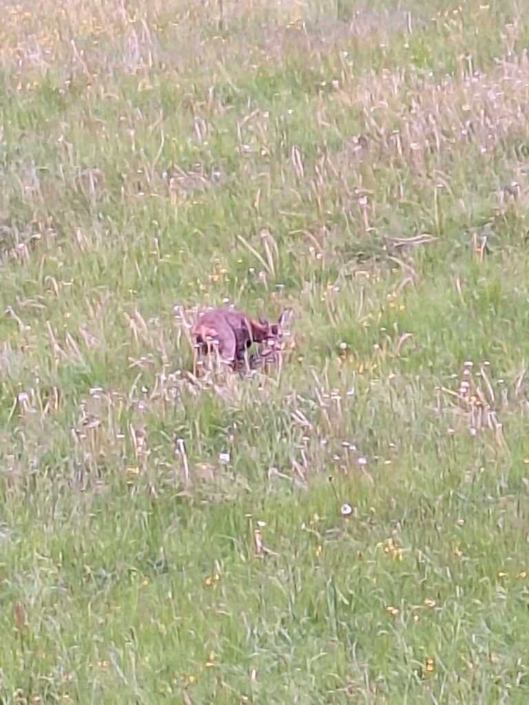 Schnappschuss 1