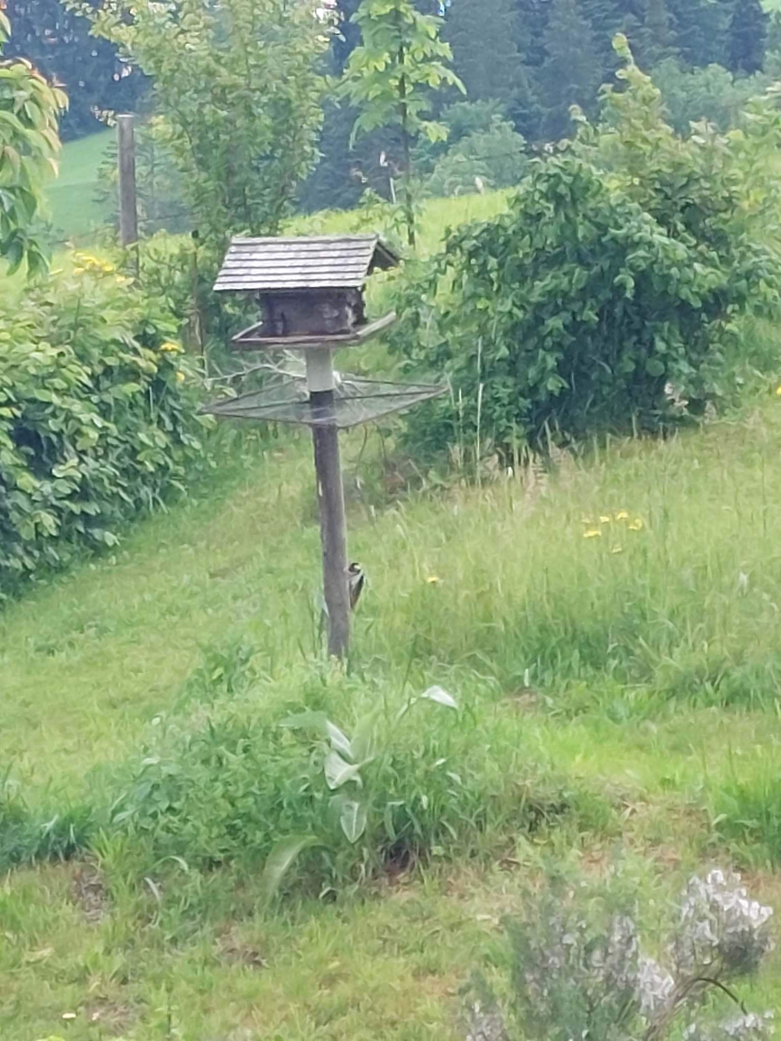 Schnappschuss 4