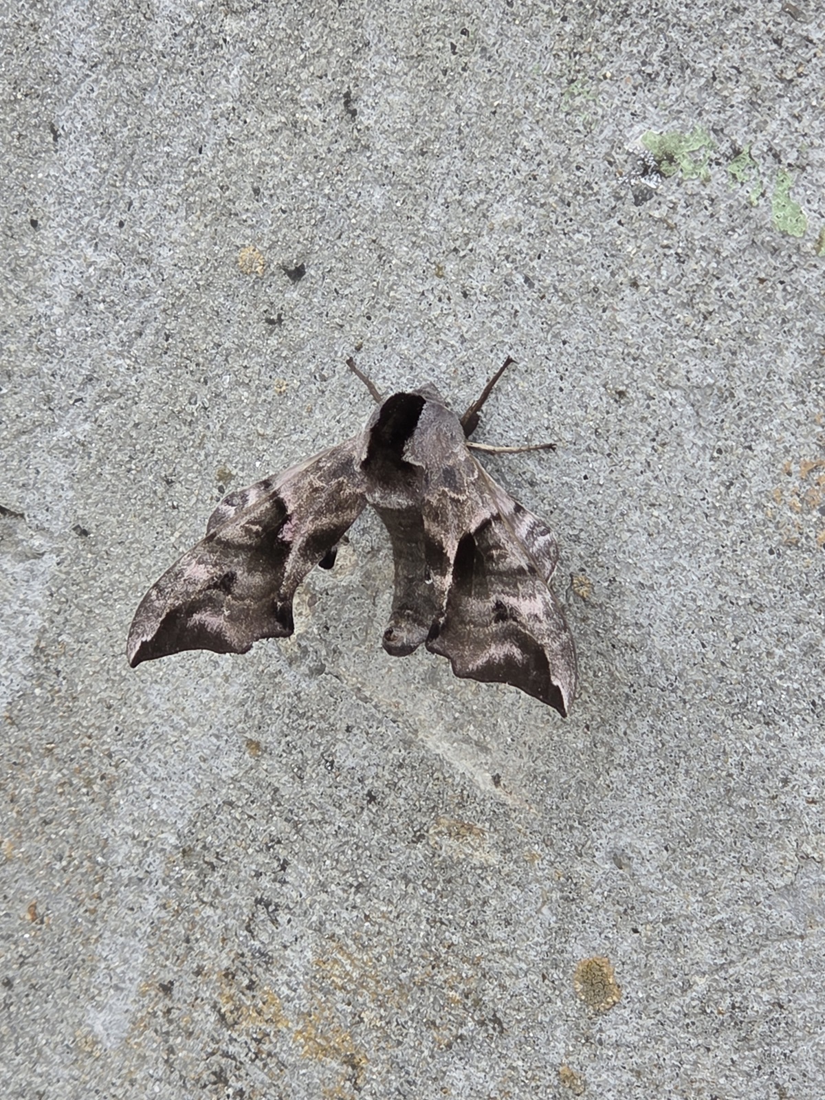 Schnappschuss 5