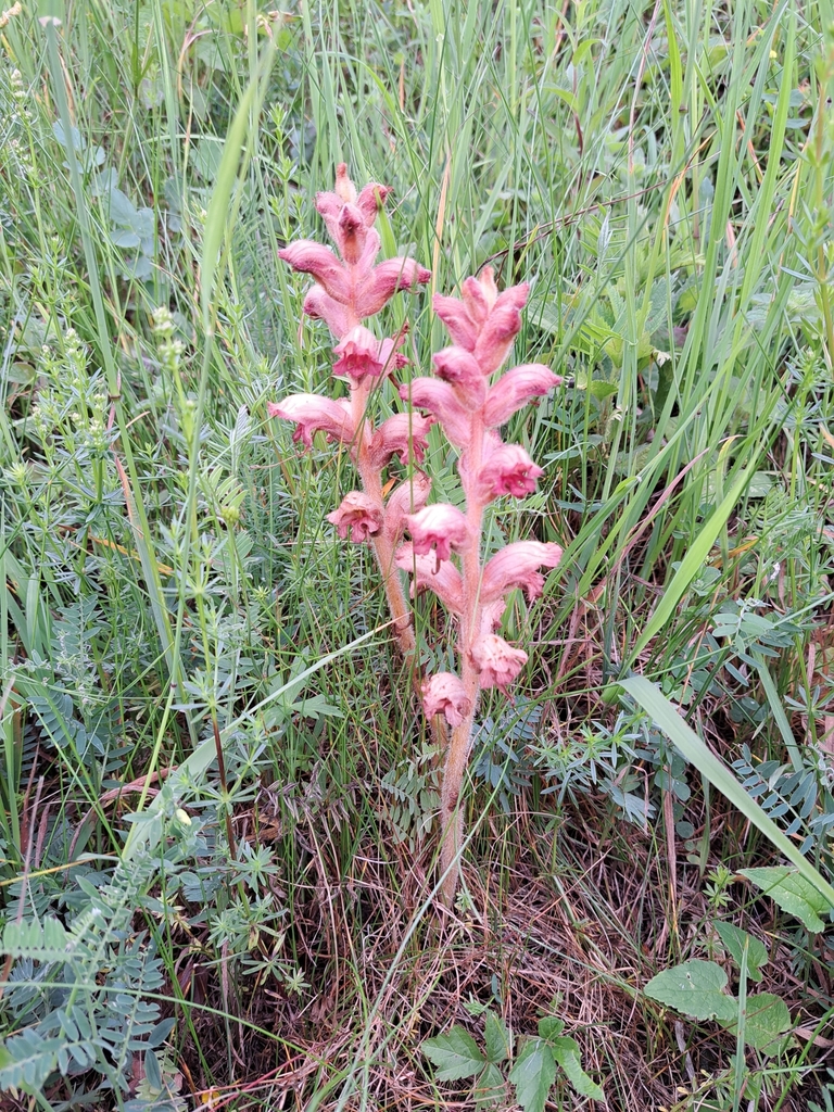 Schnappschuss 6